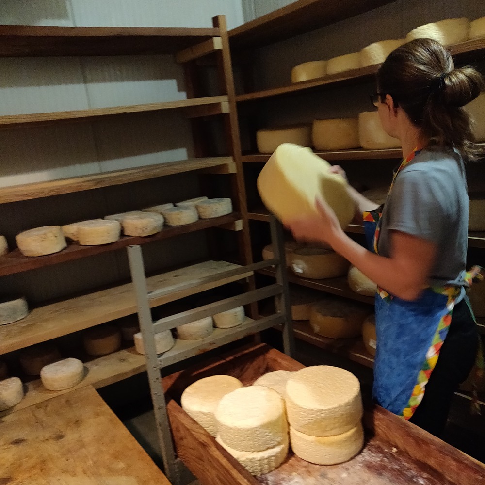 Azienda agricola La Chabranda, stagionatura dei formaggi